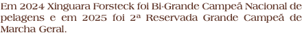 Em 2024 Xinguara Forsteck foi Bi-Grande Campeã Nacional de pelagens e em 2025 foi 2ª Reservada Grande Campeã de Marcha Geral.