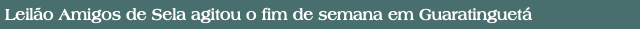 Leilão Amigos de Sela agitou o fim de semana em Guaratinguetá