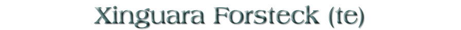 Xinguara Forsteck (te)